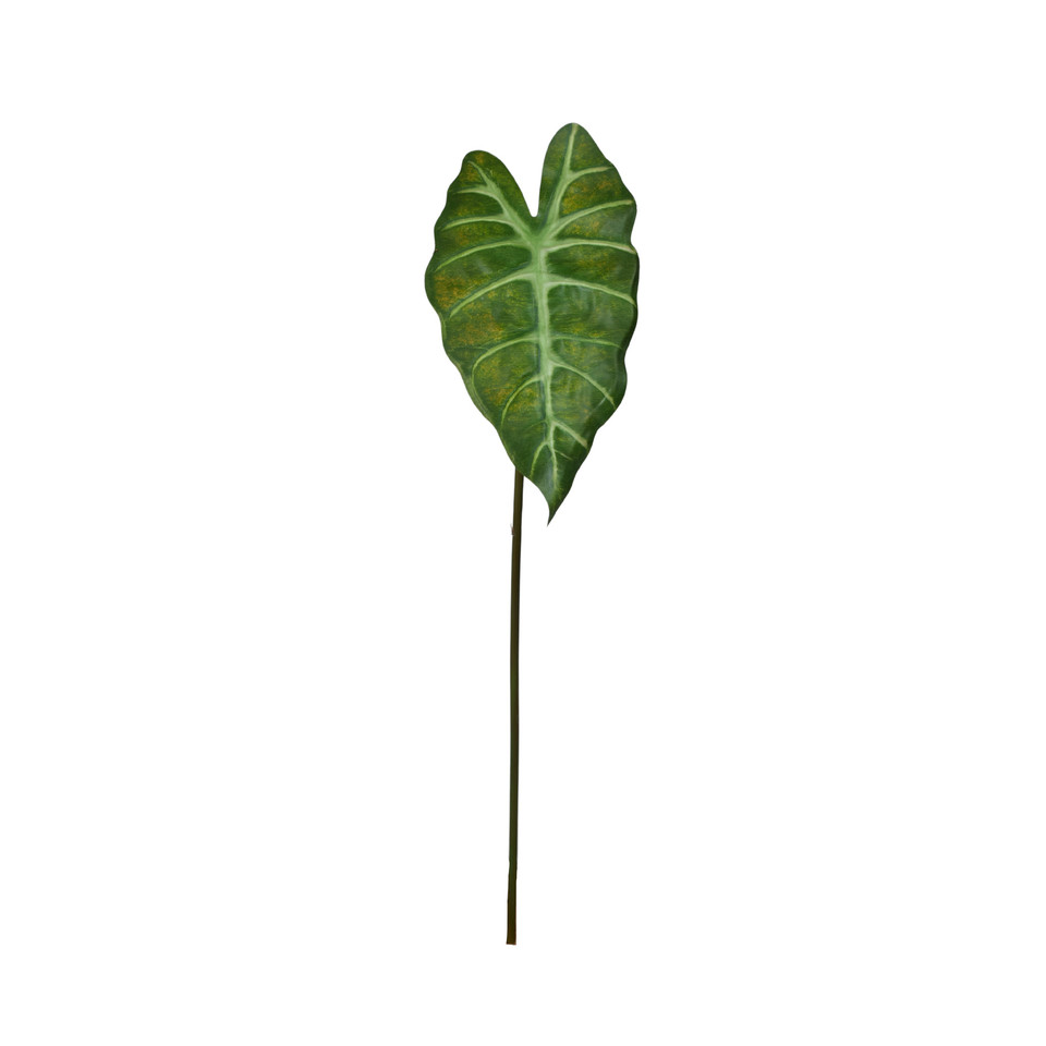 Alokazja - liść  60 cm, green LL001-01