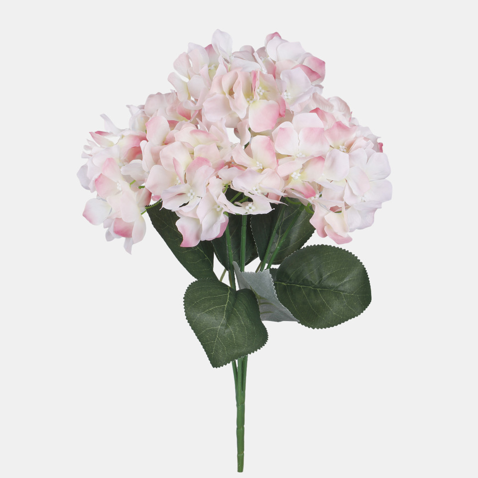 Hortensja x 5, Cream/Pink QA129-03