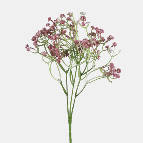 Gypsophila, Pink L856-02