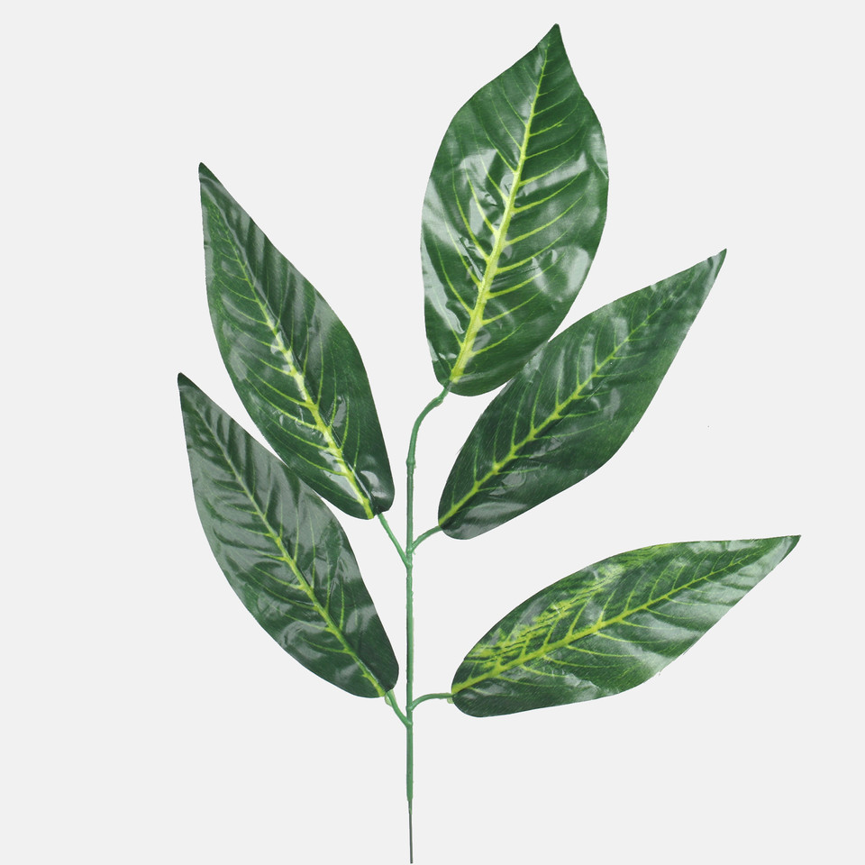 Nut, Green F215-01