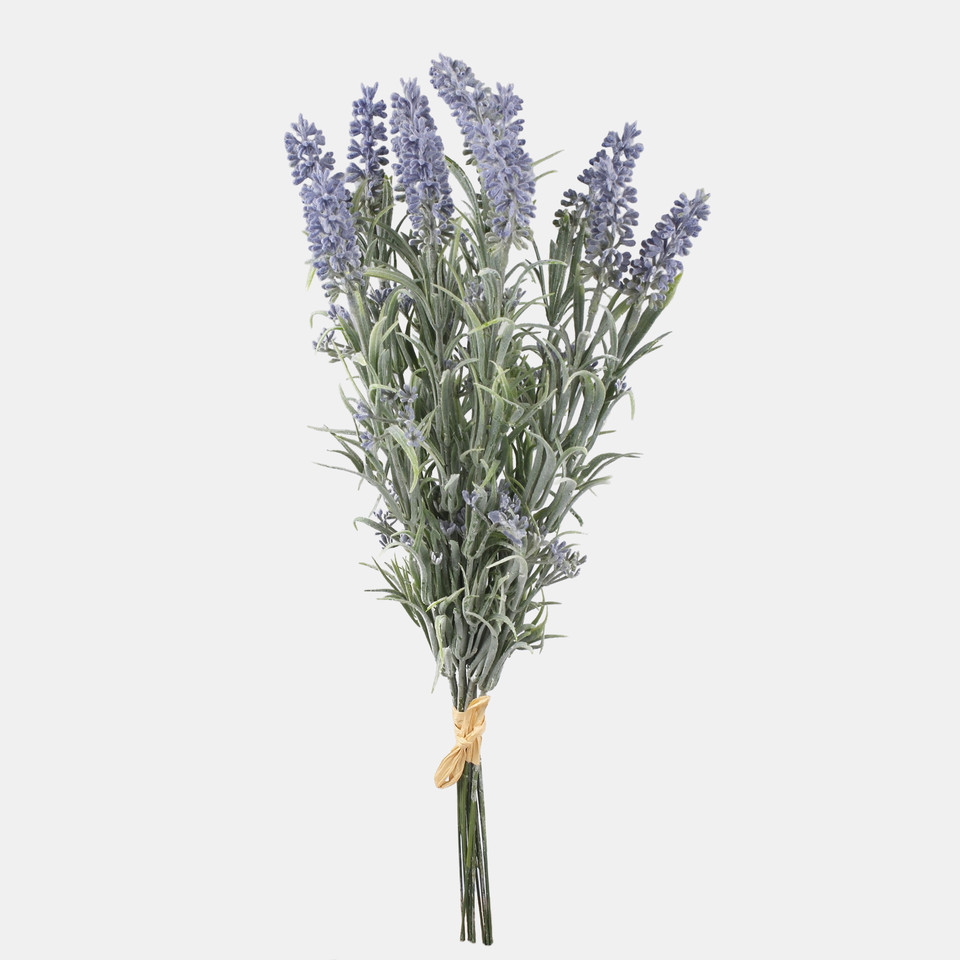 Lavender, Violet A801-01