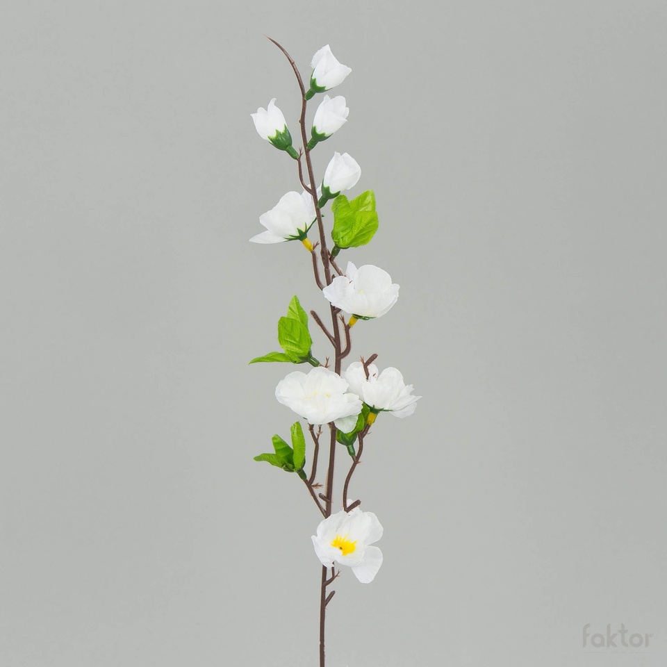 Jabłoń – gałązka (12 szt.), white K17-01