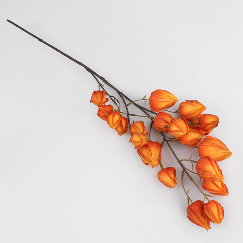 Chinese Lantern, Orange L876-02