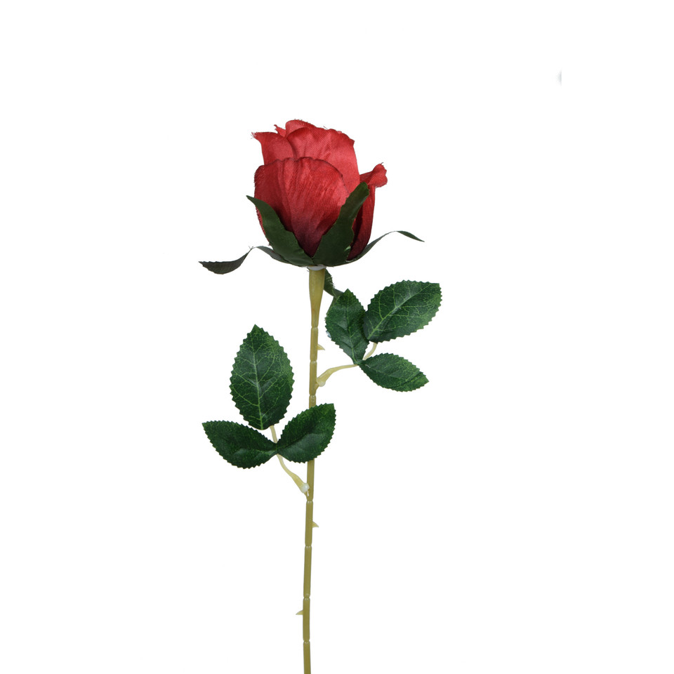 Róża - gałązka - 53 cm, m2 K404-m2