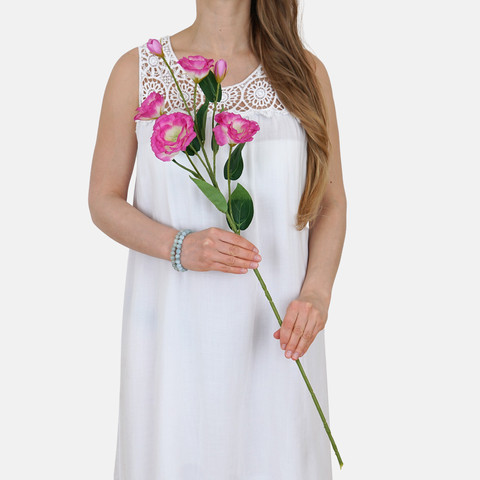 Lisianthus L771 (Product size)