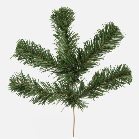 Pine twig S071
