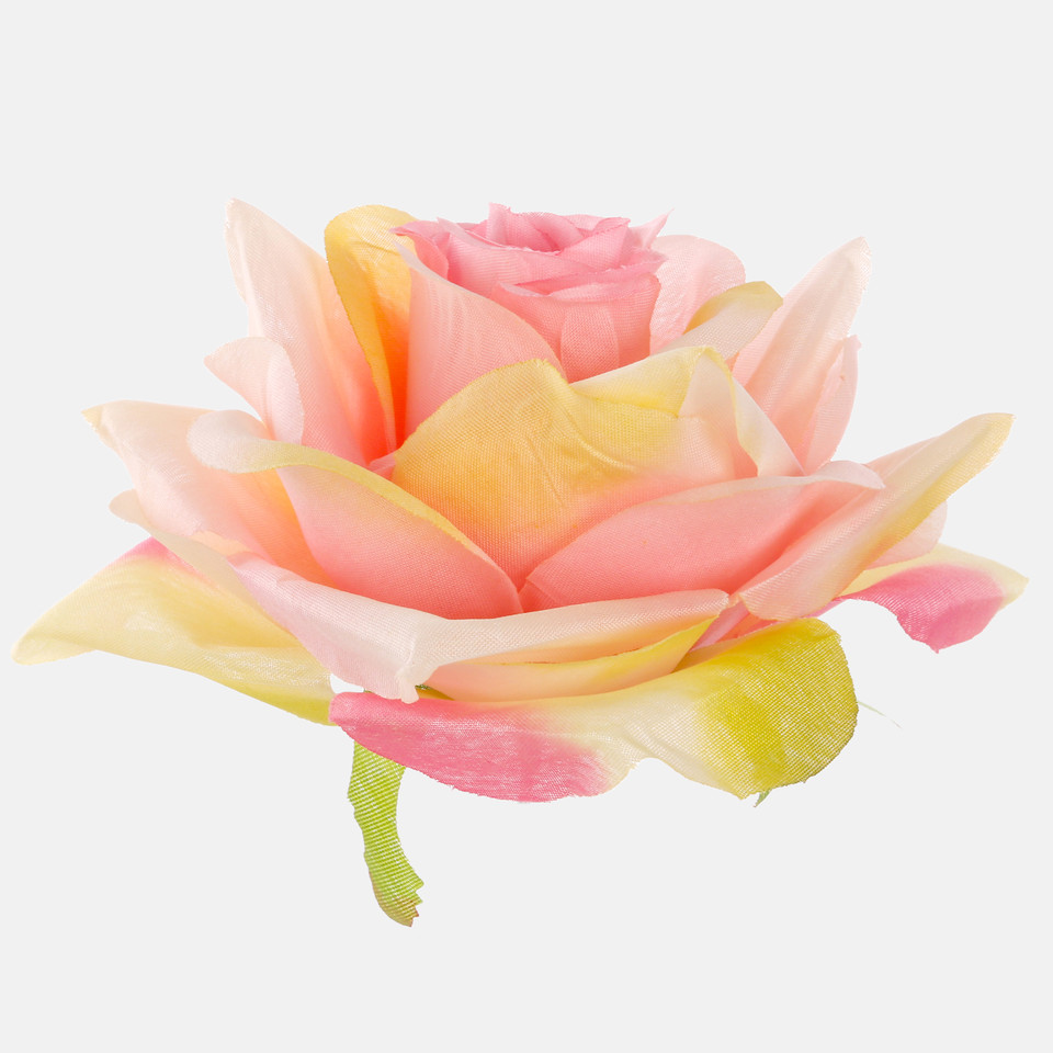 Róża, Peach W626-15