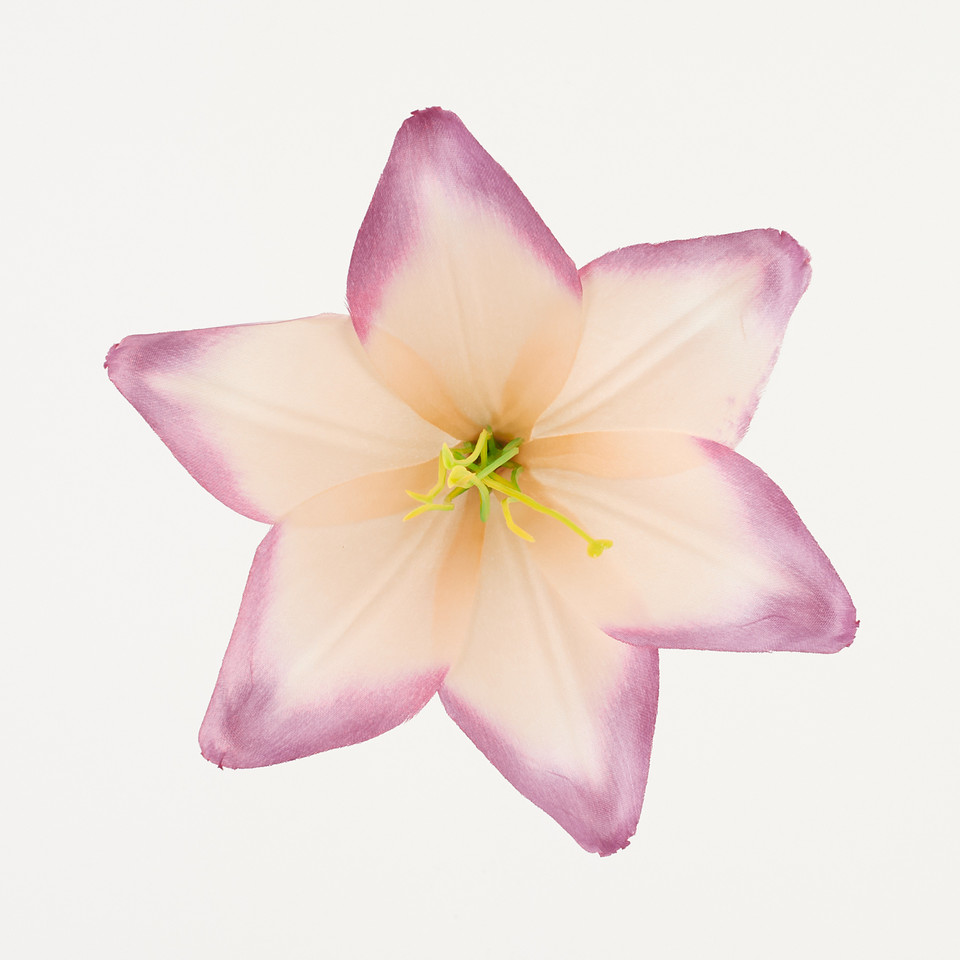 Lilia – główka satyna, salmon purple B276-041