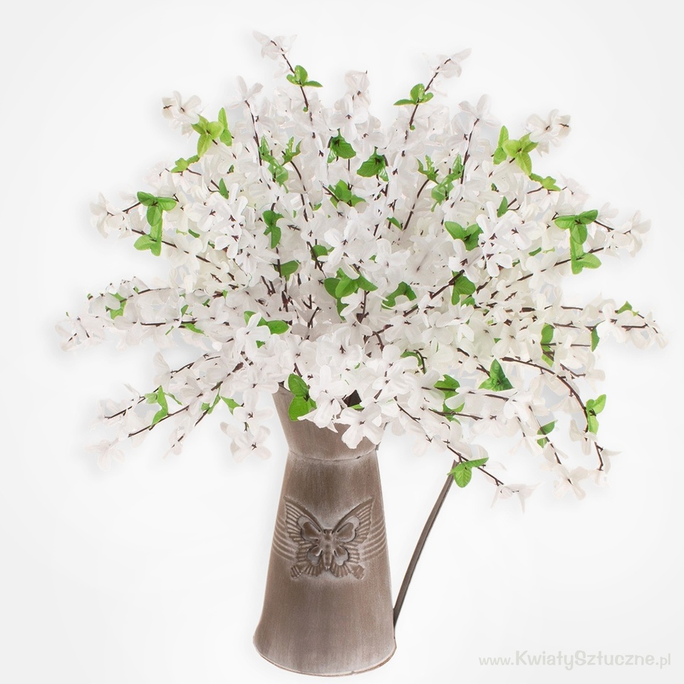 Forsythia, White G002A-02