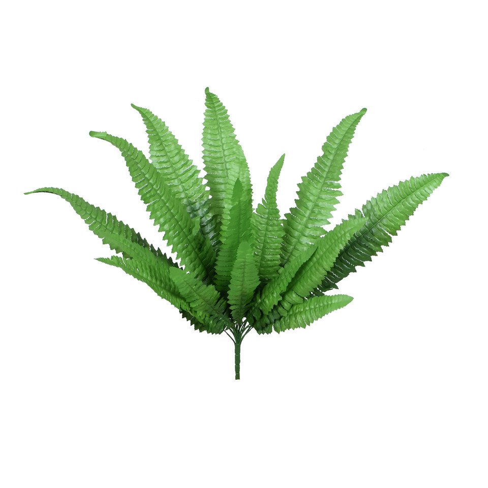 Paproć - bukiet 59 cm, green R587-00