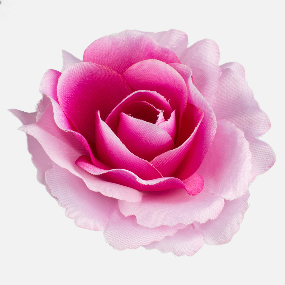 Rose, T.T. Pink W625-09
