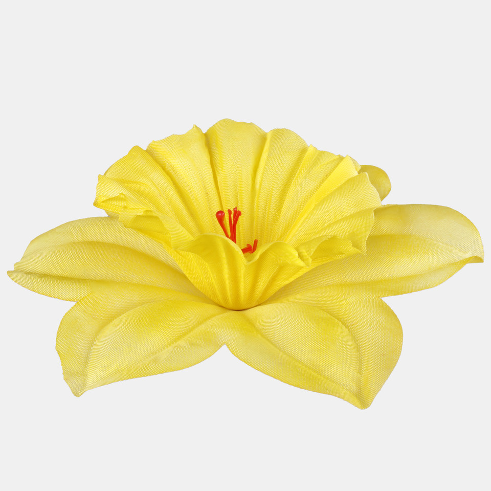 Żonkil, Yellow W275-01