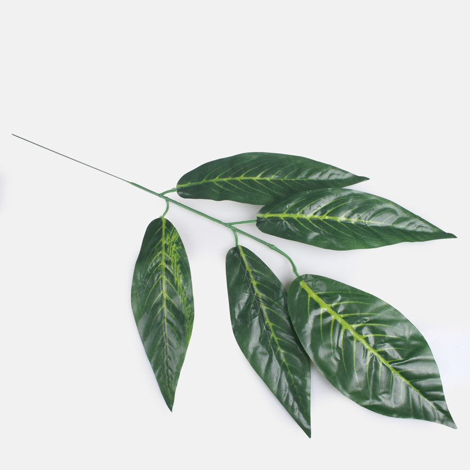 Nut, Green F215-01