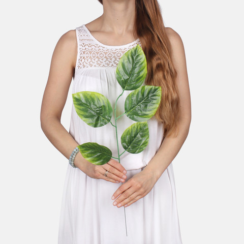 Linden F213 (Product size)