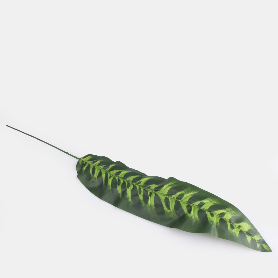 peacock leaf, Green A206