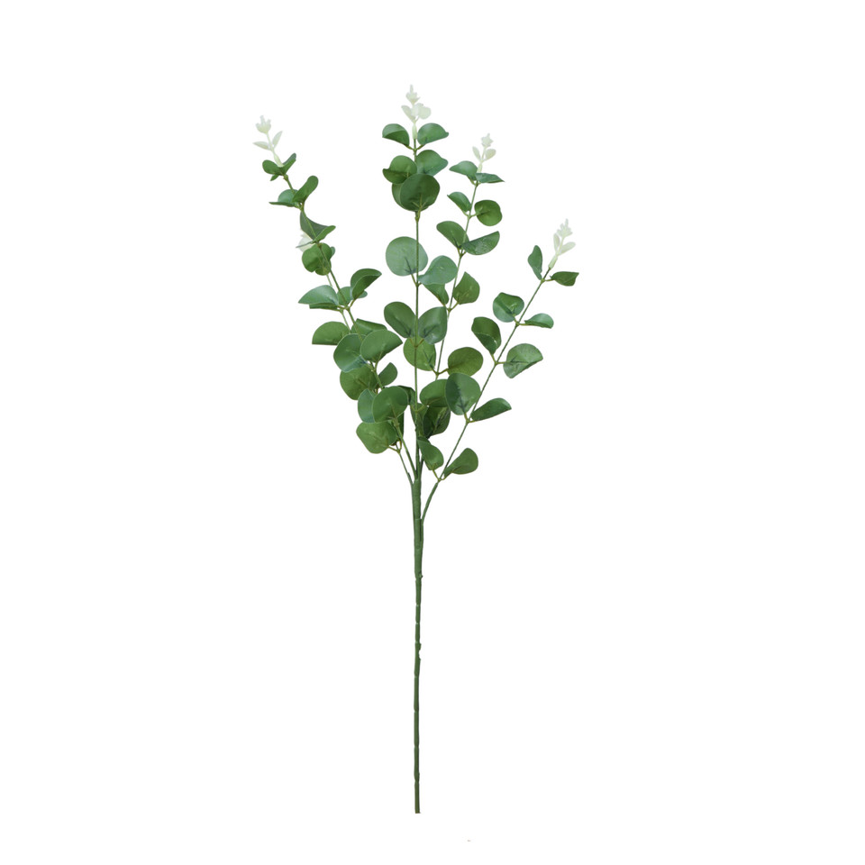 Eukaliptus - gałązka 62 cm, cream/green R667-00