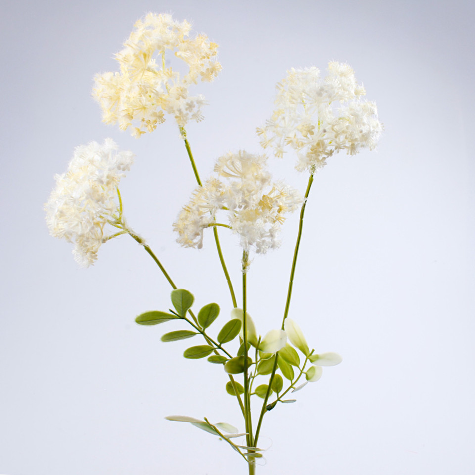 Trybula, Cream G493-05