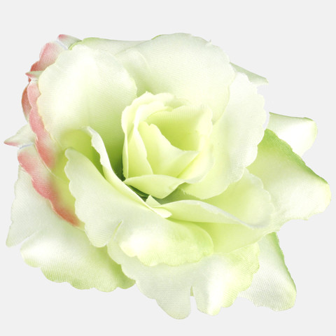 Rose, Lt. Green/Pink Edge W529-15