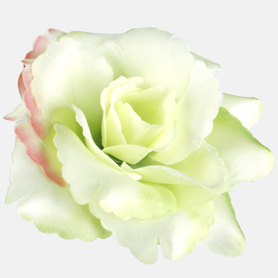 Róża, Lt. Green/Pink Edge W529-15