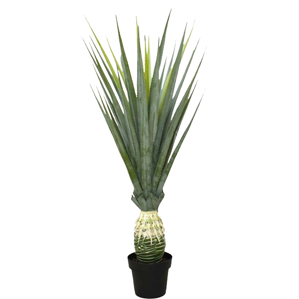 Aloes w doniczce 120 cm D088-00