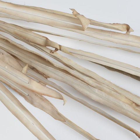 A bunch of artificial autumn grass, Mix 1 A761Y-01