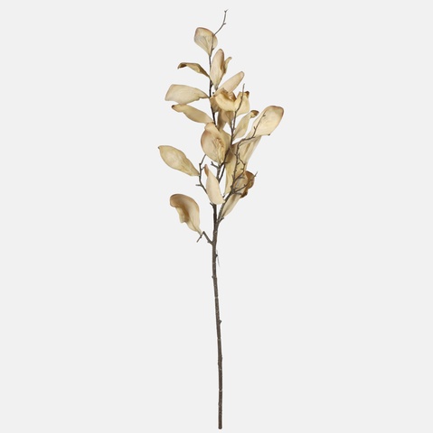 Autumn branch magnolia, Mix 1 F156Y-01