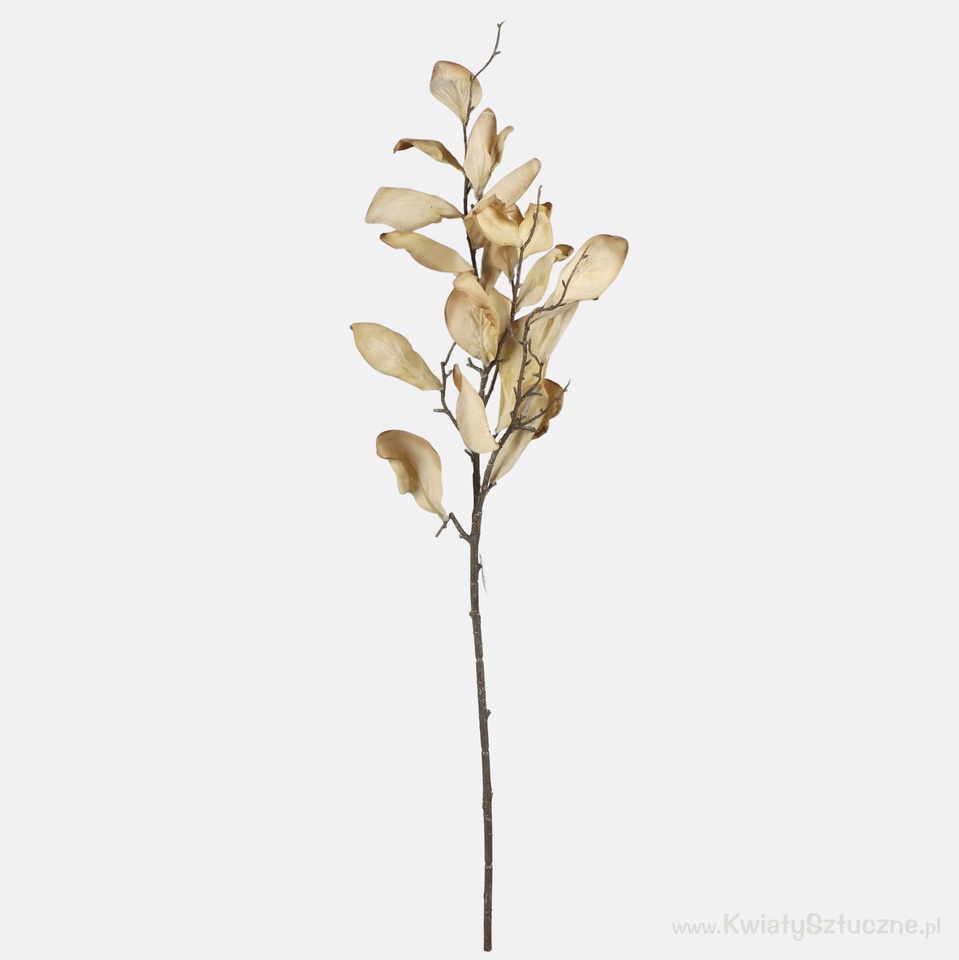Autumn branch magnolia, Mix 1 F156Y-01