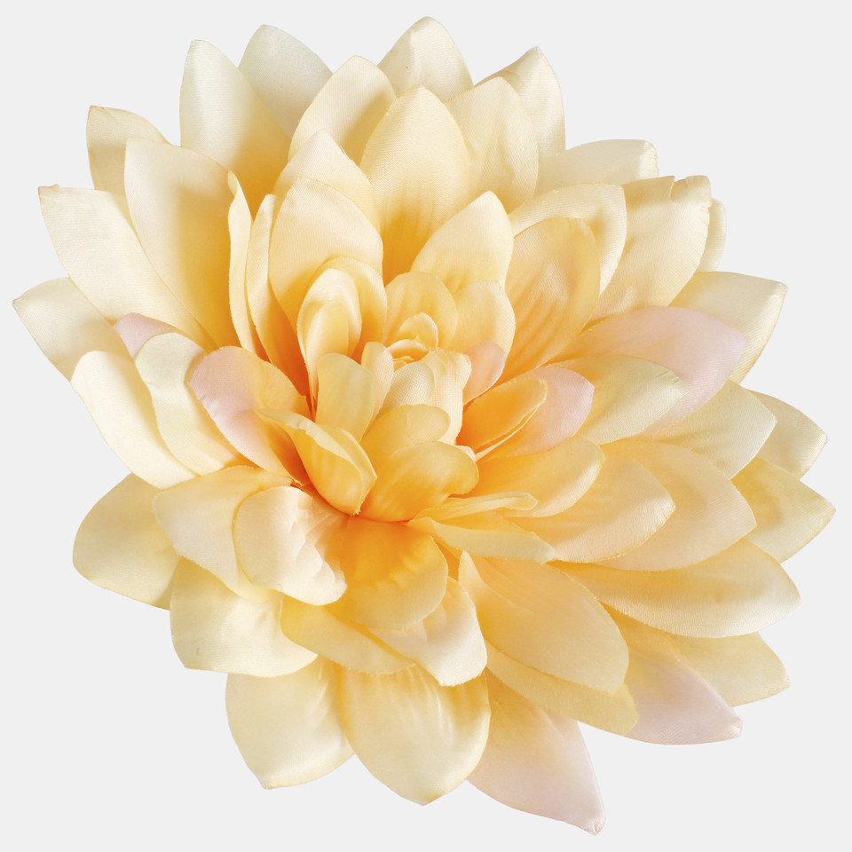 Dalia satynowa XL, Yellow W537-06