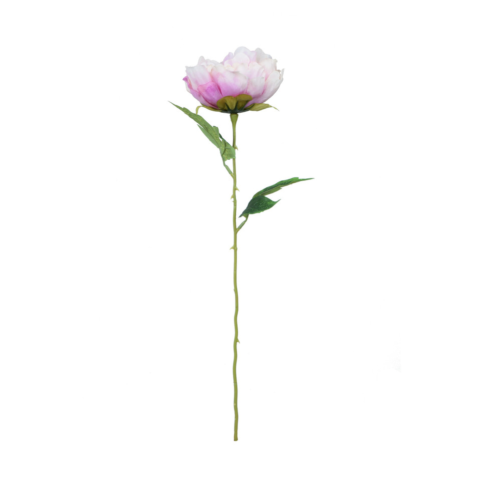 Peonia - gałązka 57 cm, m K417-m