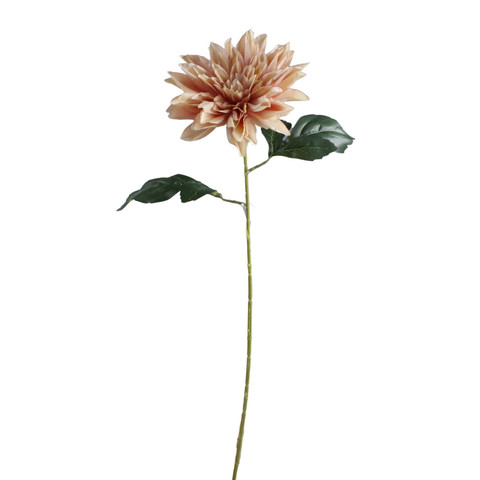 Dahlia, Beige K657-04