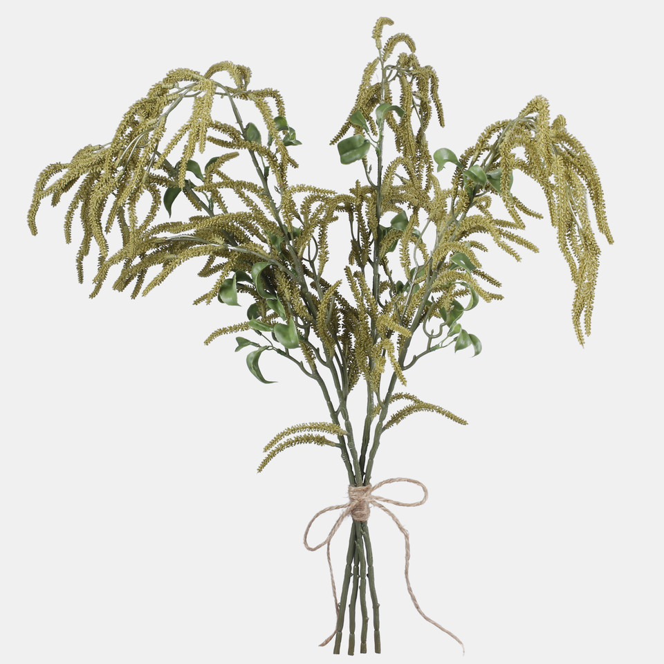 Hazel, Green L858-01