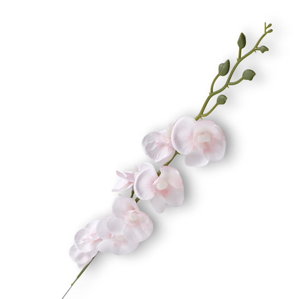 Storczyk Mini - gałązka 52 cm, m K607-m