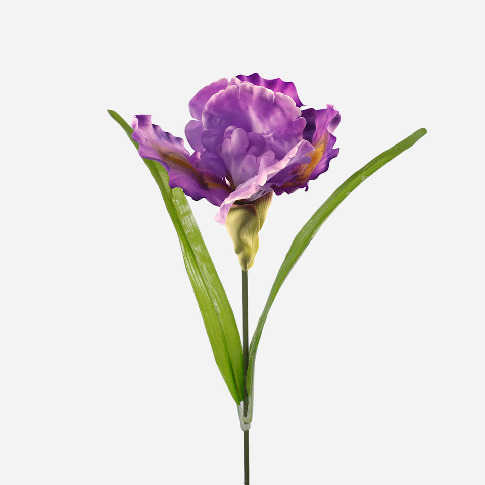 Irys XL, Lavender G425-01