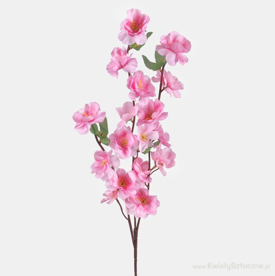 Apple tree x 3, Pink L701-04