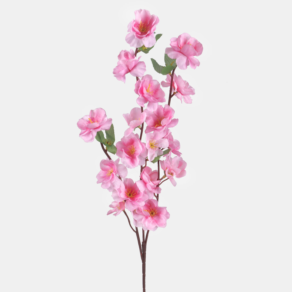 Jabłoń x 3, Pink L701-04