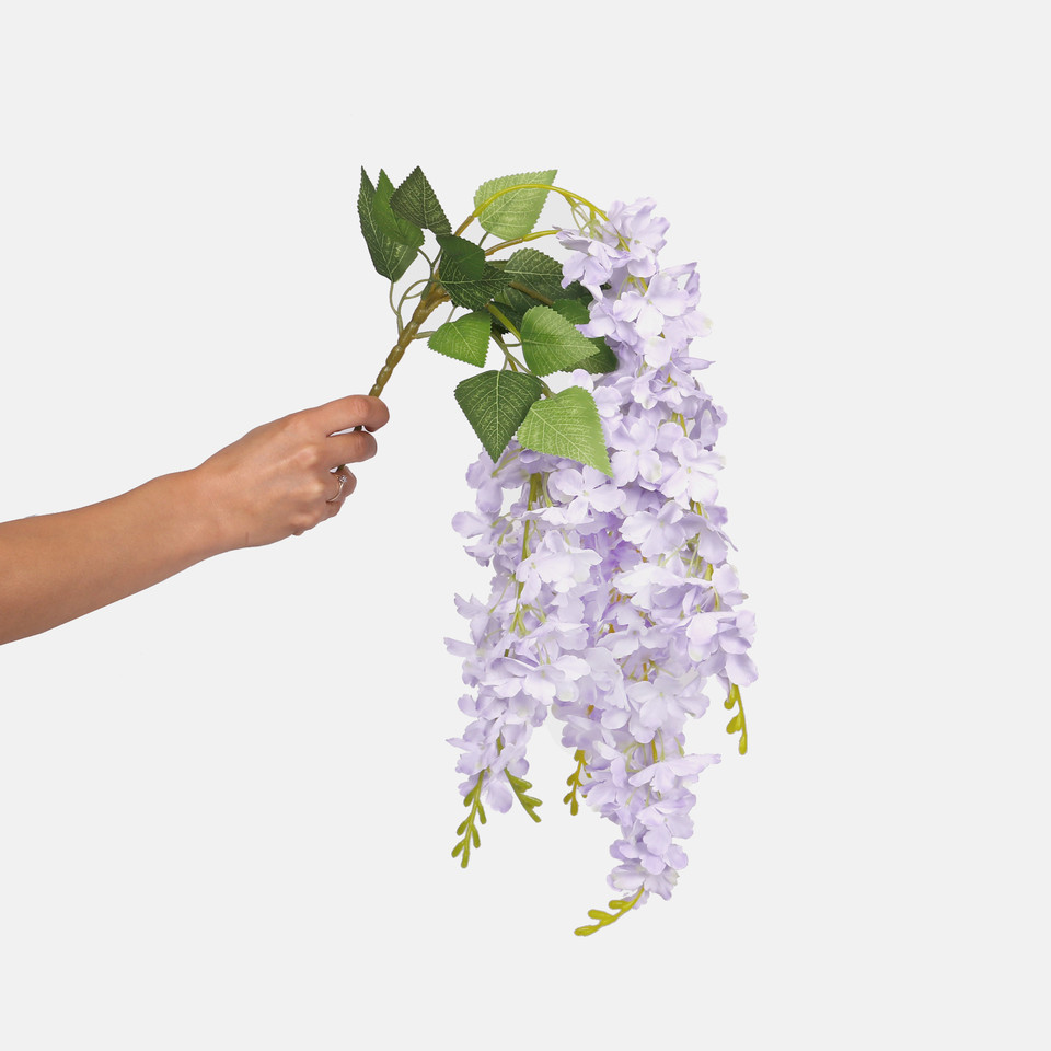 Wisteria x 5, Lt. Lilac K079-03