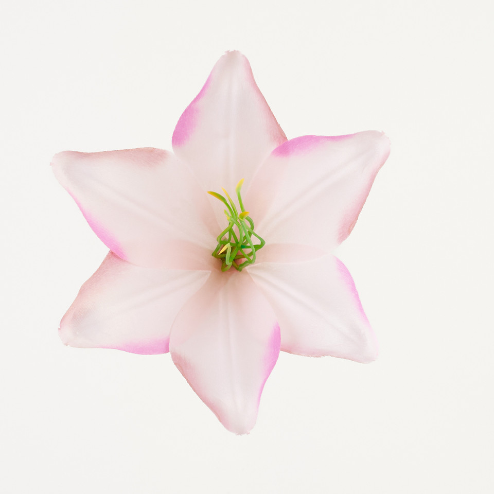 Lilia – główka satyna, pure pink B276-032
