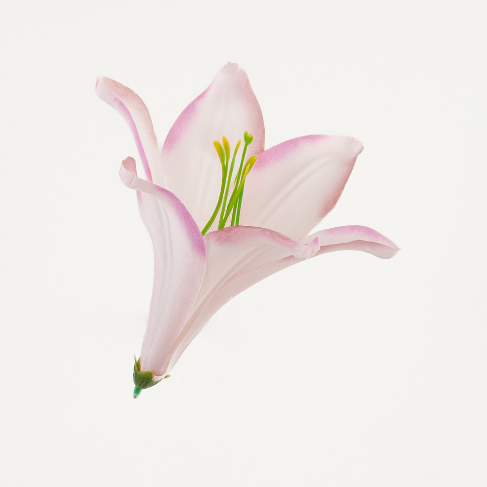 Lilia – główka satyna, pure pink B276-032