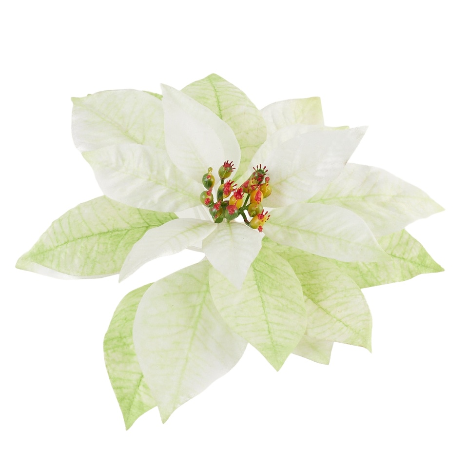 Poinsecja główka 22 cm, 01 cream/green YP39-01