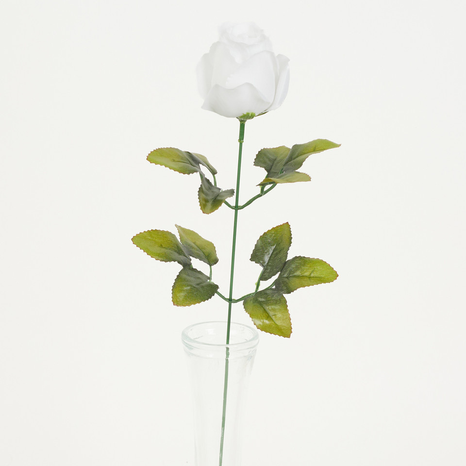 Róża – gałązka, pure white K20-01