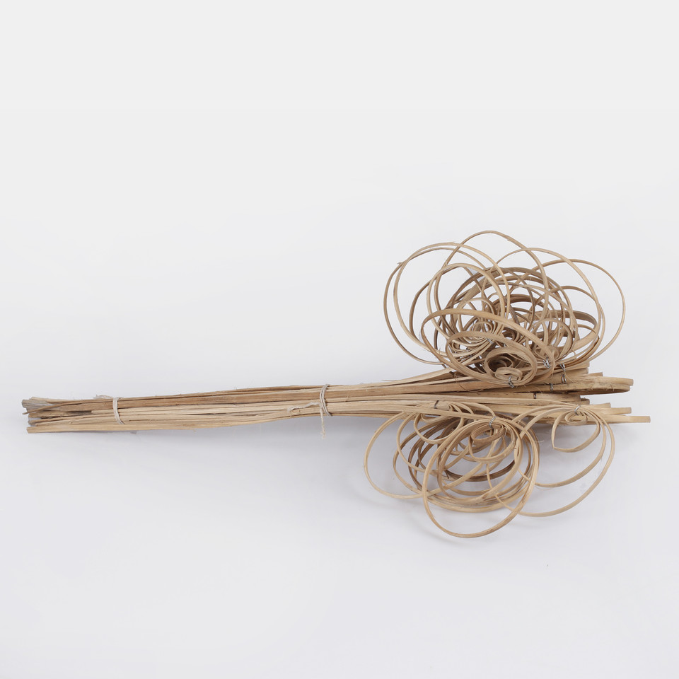 Cane coil Y034