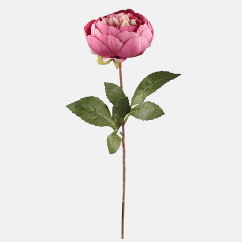 Peonia, Autumn Mauve G472-05