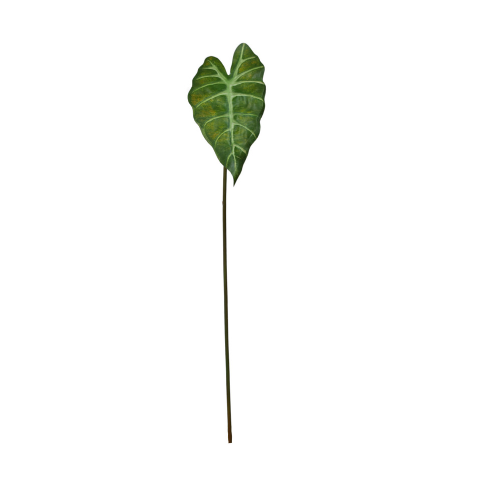 Alokazja - liść  60 cm, green LL001-01