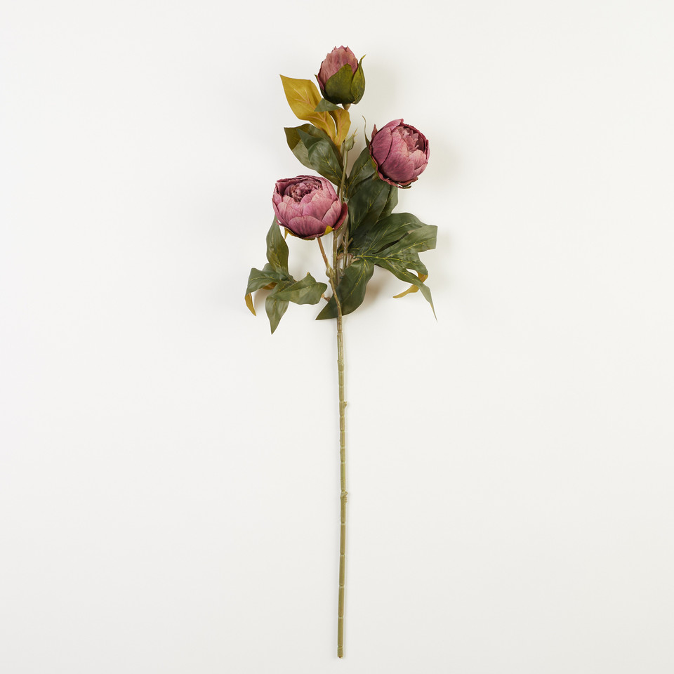 Peonia – gałązka x3, 36 B38-36