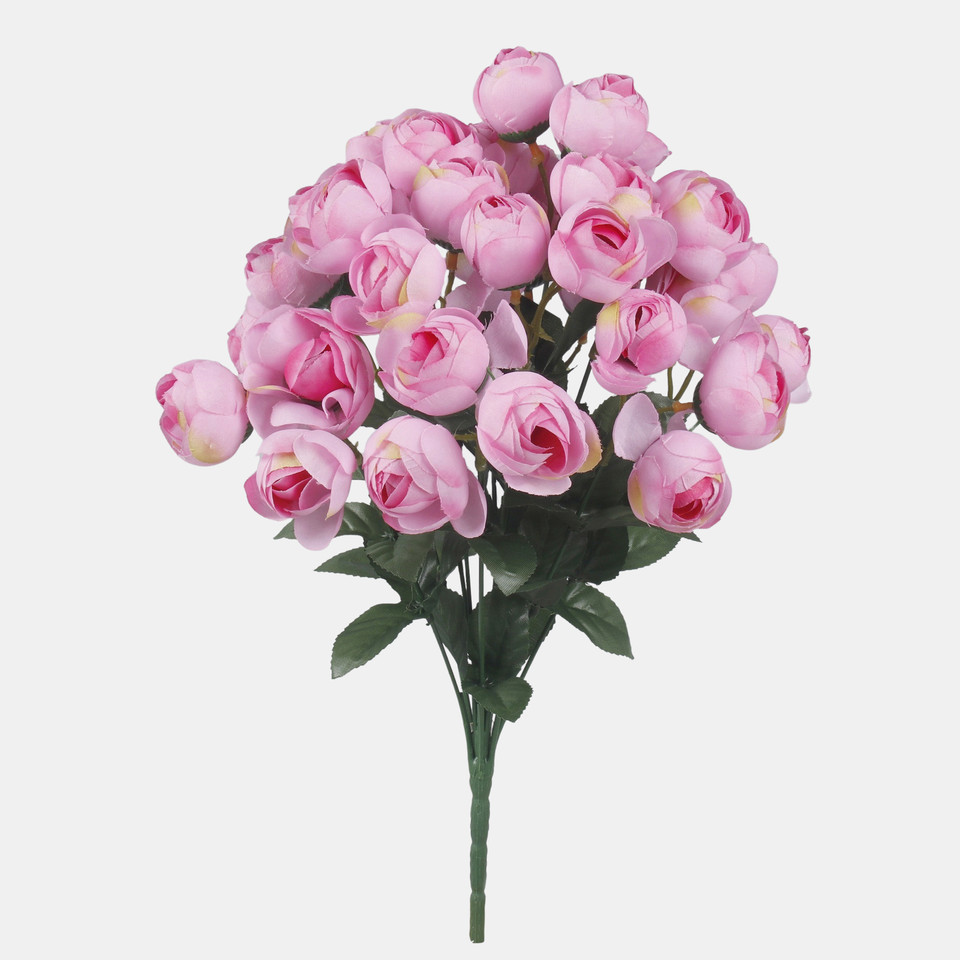 Camellia x 36, Mix 1 QA285-01