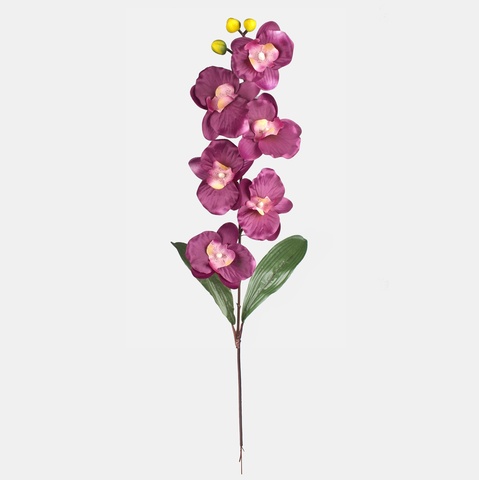 Orchid, Purple L160-08