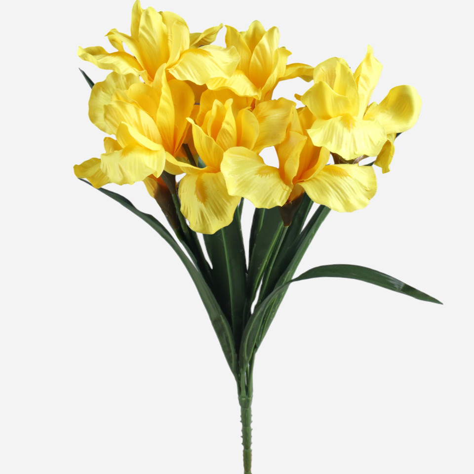 Irys x 7, Yellow QA413-05
