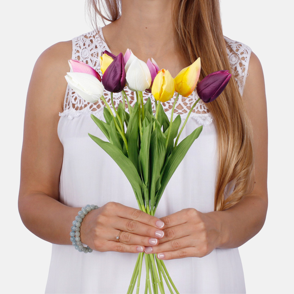 Tulip, Mix 1 G166-01