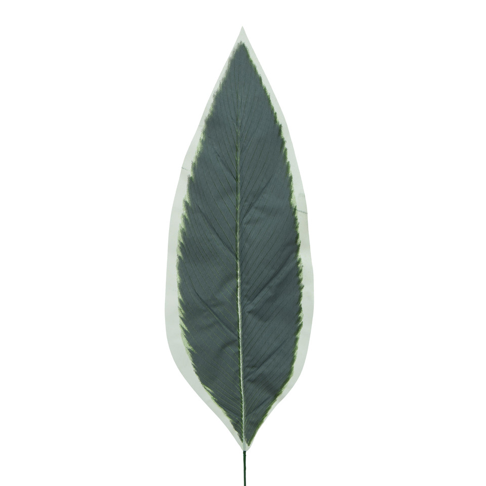 Dracena - Liść 65 cm L516-00