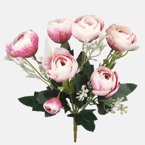 Camellia, Mix 1 QA126-01